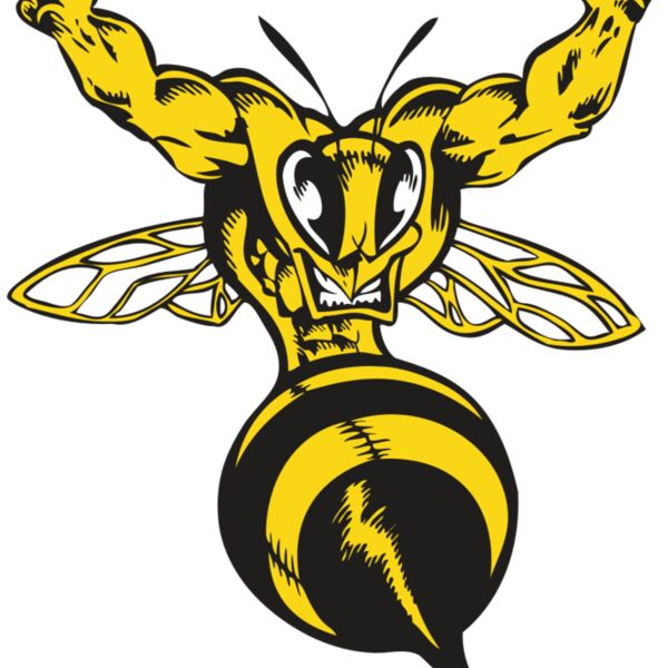 BAW BEE 04 RC Thumbnail