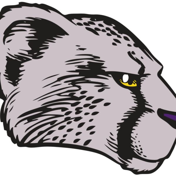 BAW CHEETAH 20 RC Thumbnail