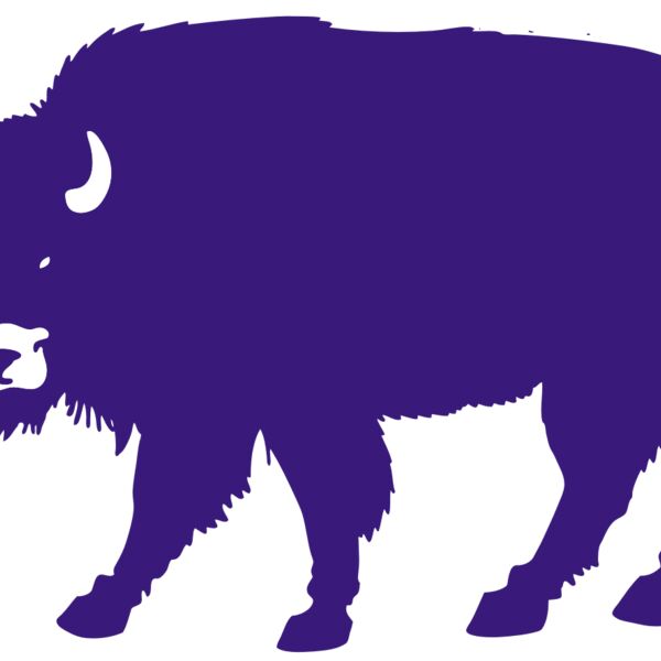 AR BUFF 23 RC Thumbnail