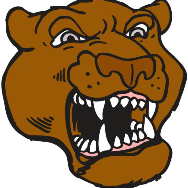 AR5 COUGAR 29 RQC Thumbnail