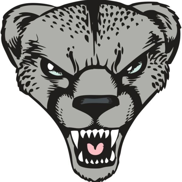 BAW CHEETAH 15 RC Thumbnail