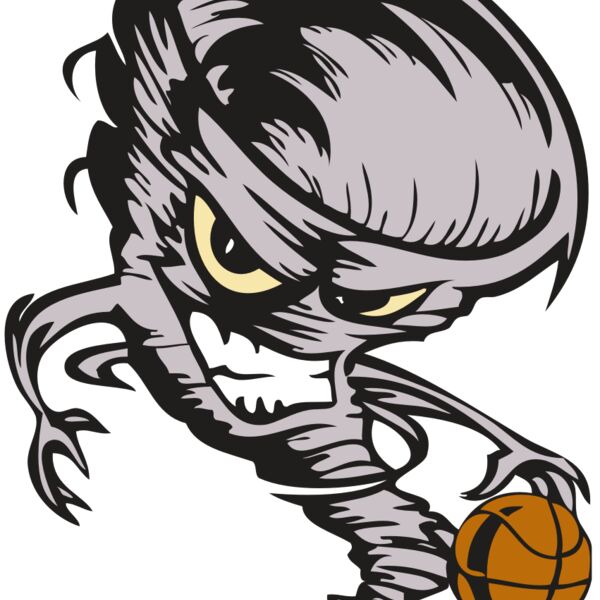 BAW STORM 06 RC Thumbnail