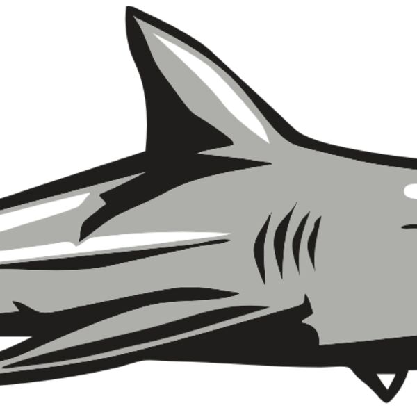 AR9 SHARK 01 RQC Thumbnail