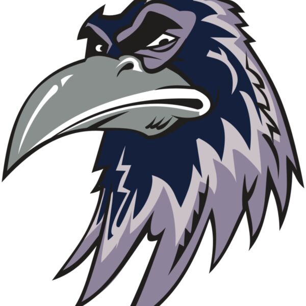 RAVEN HD0501 RQC Thumbnail