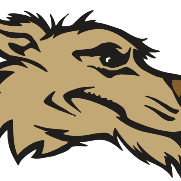 AR5 Wolf 11 RQC Thumbnail