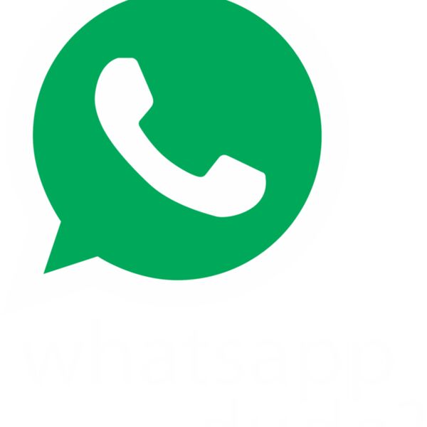 Whatsapp Dude Thumbnail