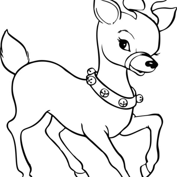 Reindeer 011 Thumbnail