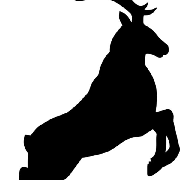 Reindeer 001 Thumbnail