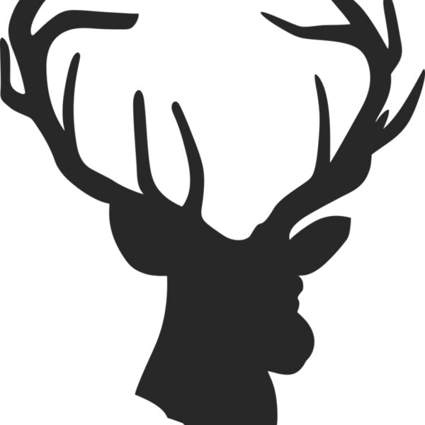 Reindeer 002 Thumbnail