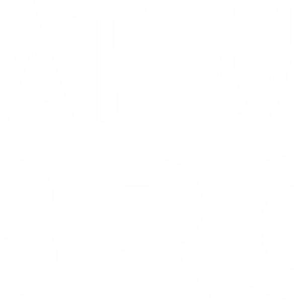 Dat Us Bro Thumbnail