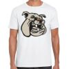 Mens Softstyle Tee Shirt Thumbnail