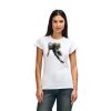 Womens Softstyle Cotton Tee Womens Softstyle Cotton Tee Thumbnail