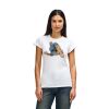 Womens Softstyle Cotton Tee Womens Softstyle Cotton Tee Thumbnail