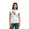 Womens Softstyle Cotton Tee Womens Softstyle Cotton Tee Thumbnail