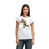 Womens Softstyle Cotton Tee Womens Softstyle Cotton Tee Thumbnail