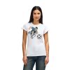 Womens Softstyle Cotton Tee Womens Softstyle Cotton Tee Thumbnail