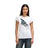 Womens Softstyle Cotton Tee Womens Softstyle Cotton Tee Thumbnail