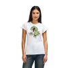 Womens Softstyle Cotton Tee Womens Softstyle Cotton Tee Thumbnail