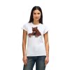 Womens Softstyle Cotton Tee Womens Softstyle Cotton Tee Thumbnail