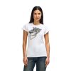 Womens Softstyle Cotton Tee Womens Softstyle Cotton Tee Thumbnail