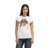Womens Softstyle Cotton Tee Womens Softstyle Cotton Tee Thumbnail