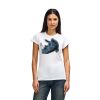 Womens Softstyle Cotton Tee Womens Softstyle Cotton Tee Thumbnail