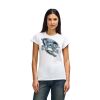Womens Softstyle Cotton Tee Womens Softstyle Cotton Tee Thumbnail