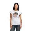 Womens Softstyle Cotton Tee Womens Softstyle Cotton Tee Thumbnail