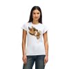 Womens Softstyle Cotton Tee Womens Softstyle Cotton Tee Thumbnail