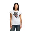 Womens Softstyle Cotton Tee Womens Softstyle Cotton Tee Thumbnail